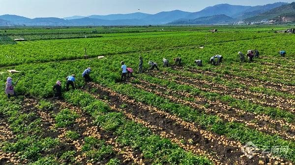 豆灣村委會(huì)最新新聞動(dòng)態(tài)報(bào)道